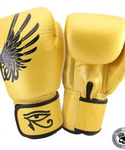 GLOVES Fairtex BGV1 Glove - Falcon Horus