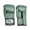 Fairtex F Day Glove 1 Fairtex F Day Glove