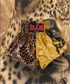 TRAINING GEAR Han Muay Thai Shorts - All Colors