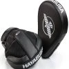 Hayabusa PTS 3 Focus Mitts