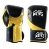 Cleto Reyes High Precision Gloves - Black/Gold